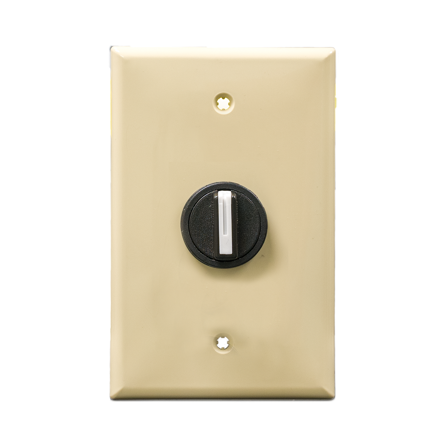 Ivory wall plate with black 2-position switch on a white background.